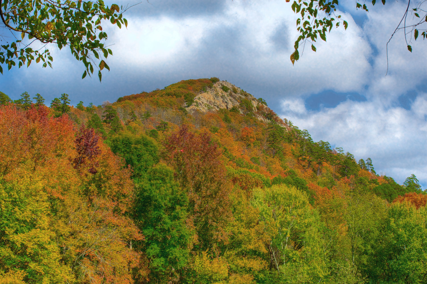 Pinnacle Mountain in Arkansas