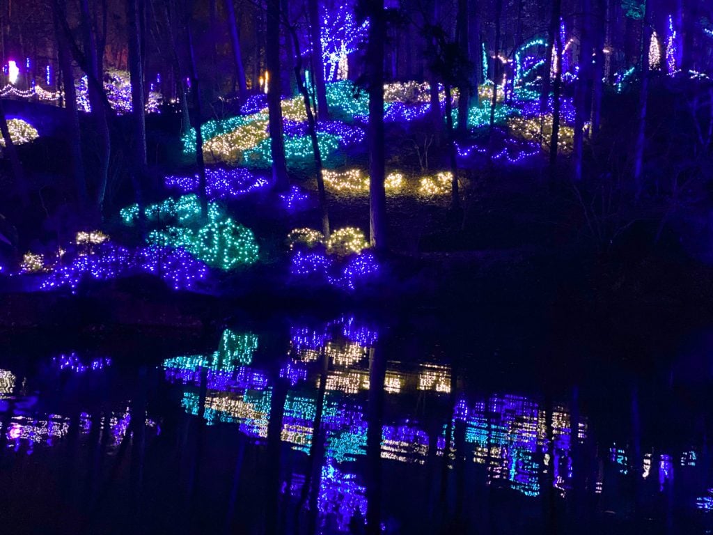 Christmas lights reflecting in the water at Garvan woodland Gardens in Hot Springs, Arkansas.
