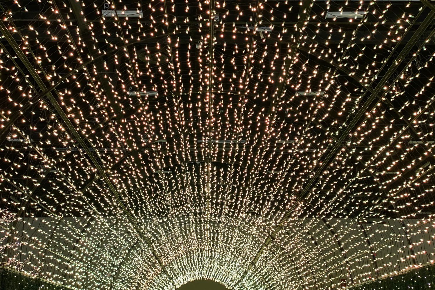 The Sparkle of the Season Best Christmas Light Displays in Arkansas