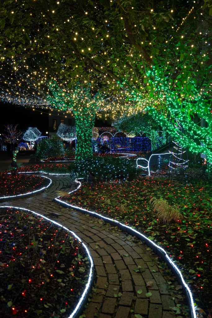 Fayetteville Lights of the Ozarks