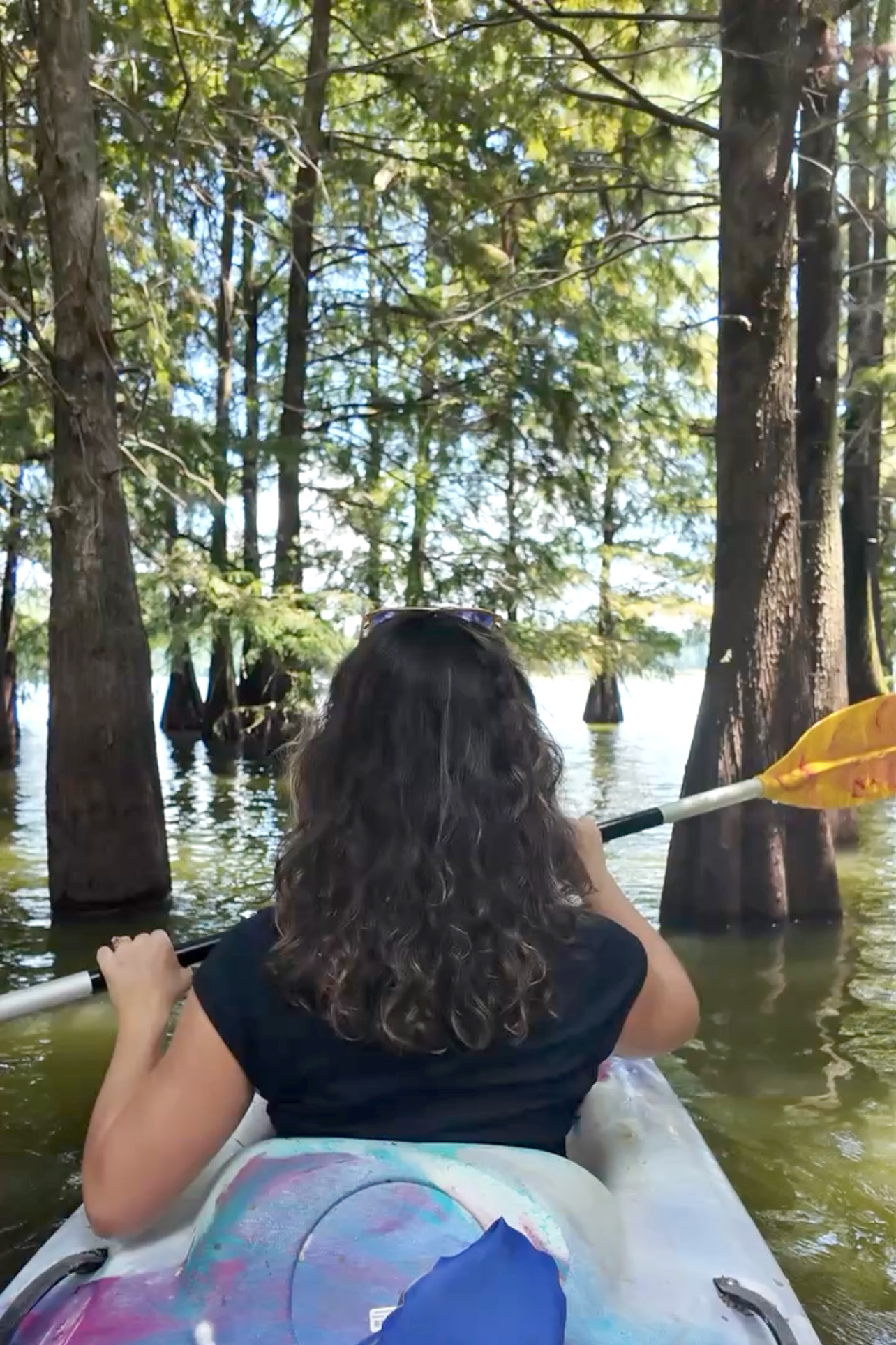 Discover the Beauty of Lake Chicot State Park