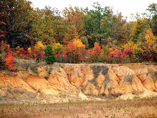 Loess soil in Crowley's Ridge in Arkansas. 