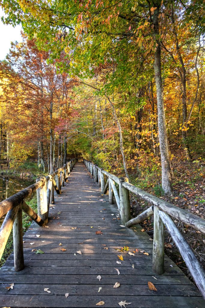 A wooden boardwalk through the woods at Crowley's Ridge State Park in Arkansas. 