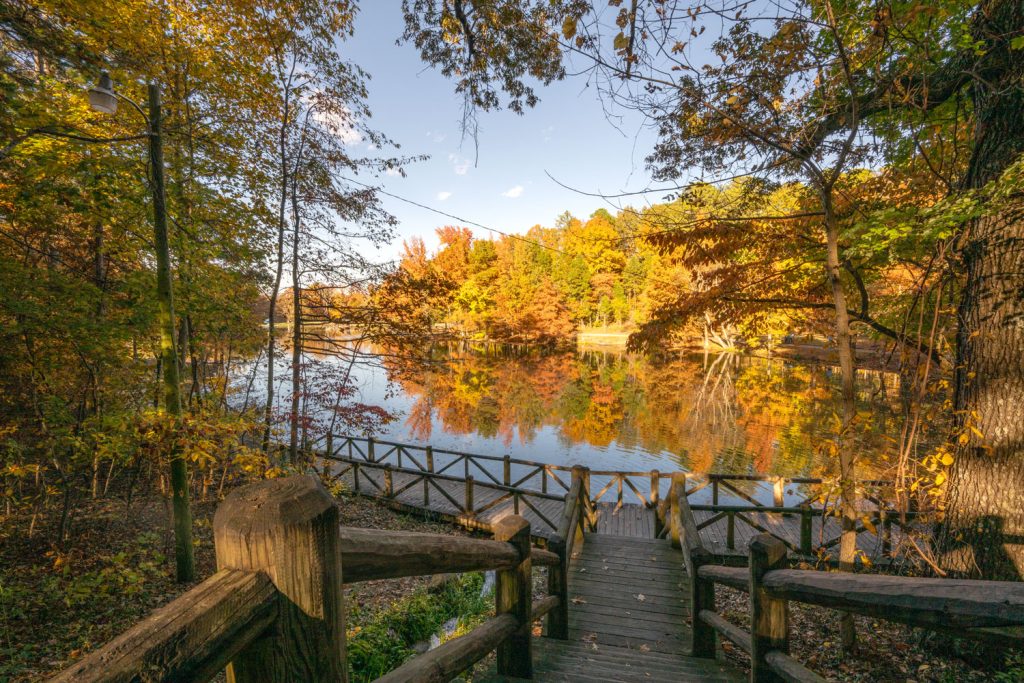 View of a lake at Crowley's Ridge State Park. There are stairs going down from the view of the photographers looking across the lake to trees that are very brightly colored in fall. They are also reflected in the Lake. This is lake Ponder at Crowley's Ridge State Park. 