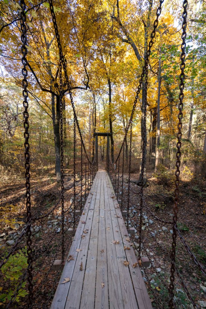 A swinging bridge on a trail in the woods. This is located on a hiking trail at Crowley's Ridge State Park in Arkansas. 