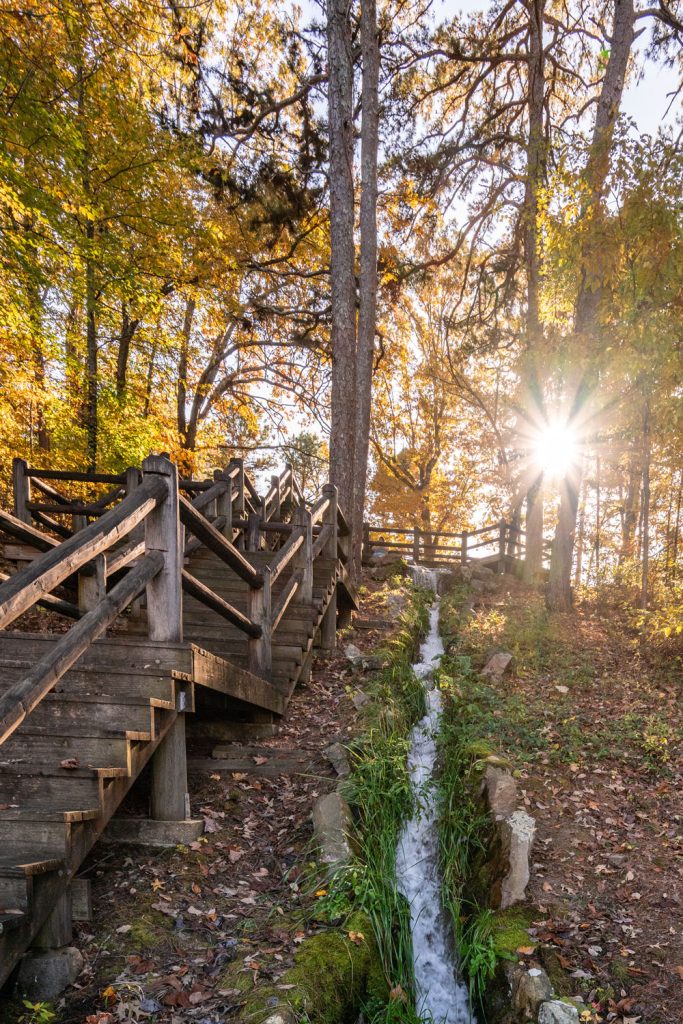 A set of stairs going up on the left with a rivulet of water falling down a mountainside on the ridge. The trees are yellow as if in fall and the rays of the sun are shining through the trees. 