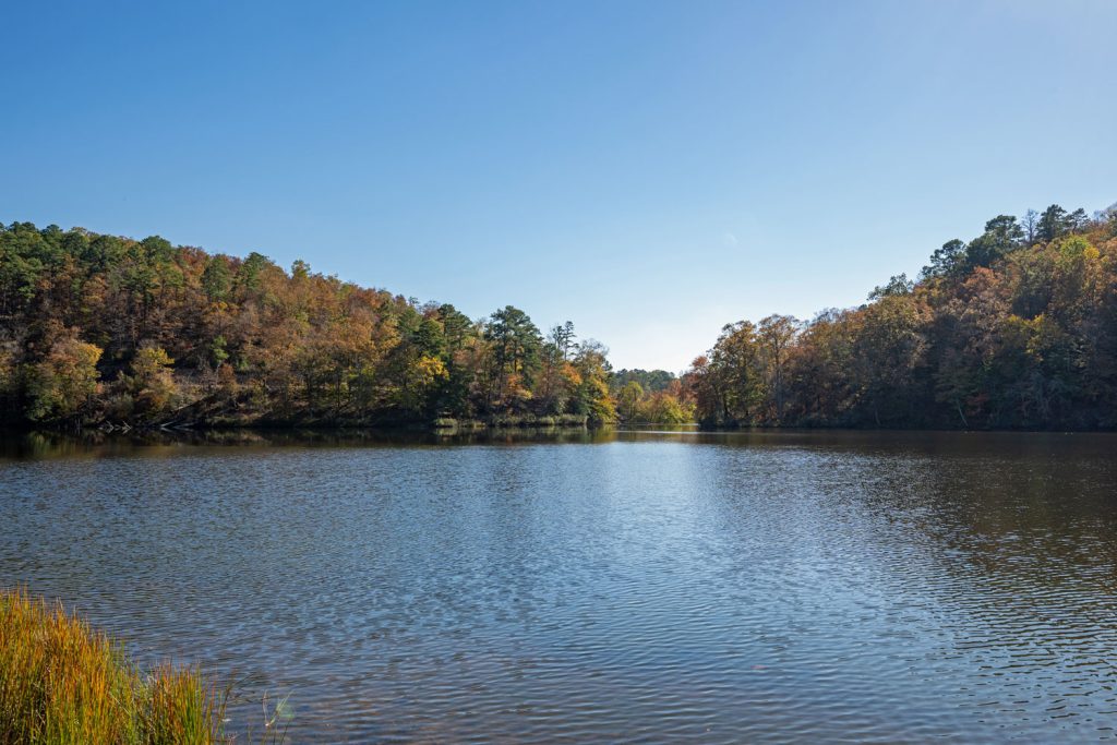 Shady Lake in Arkansas is part of a great road trip through the Ouachita Mountains. 