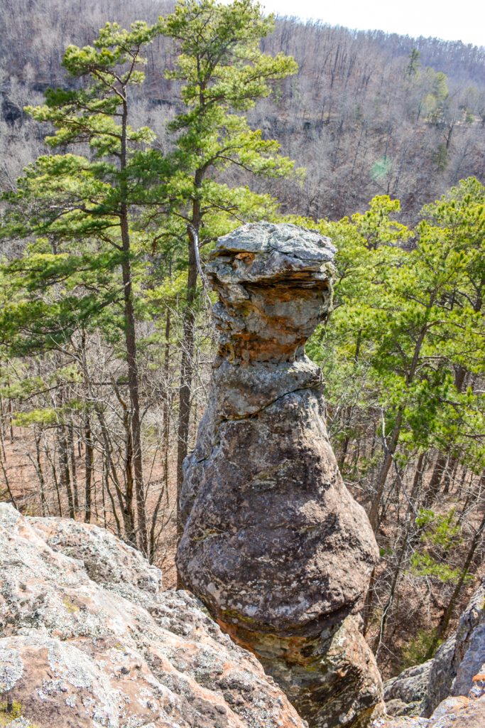 One of the pedestals at Pedestal Rocks trail. 
