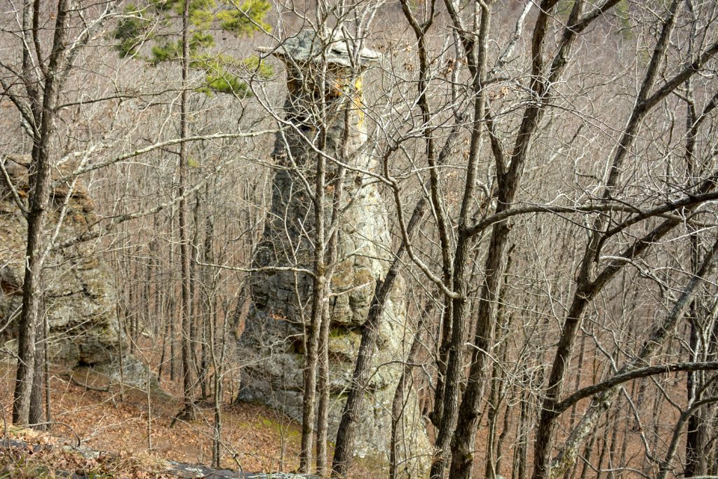 A pedestal through the trees at Pedestal Rocks and Kings Bluff Trail. 