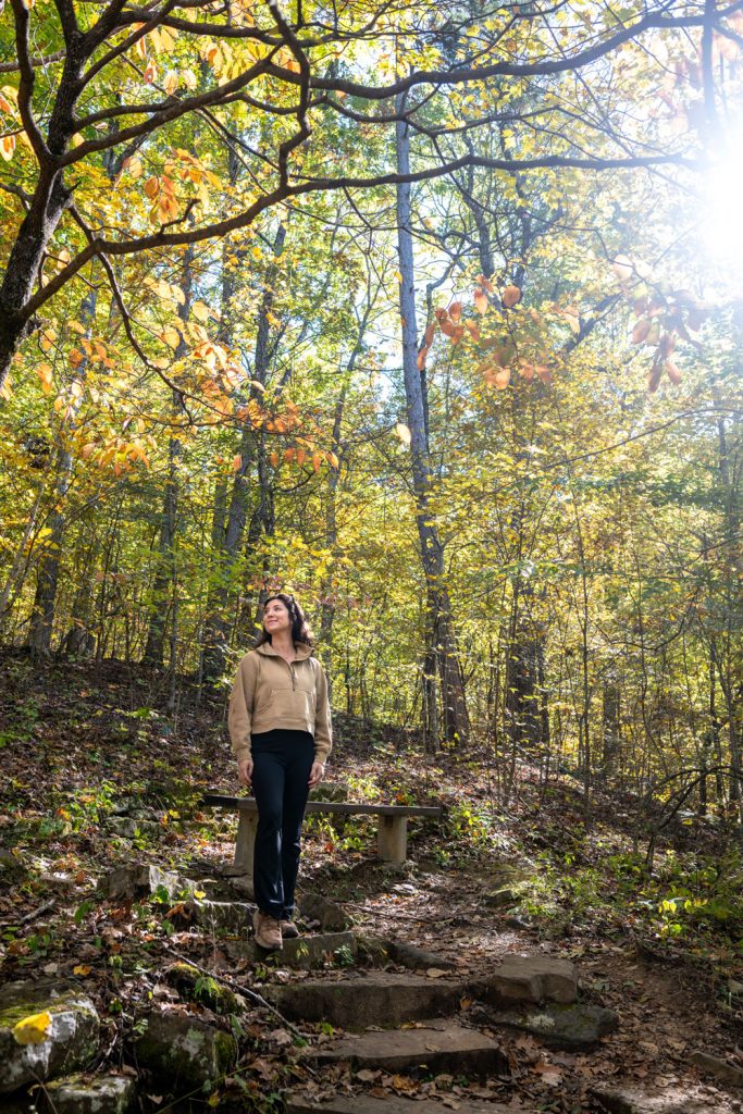 In the woods in the fall in Arkansas. 