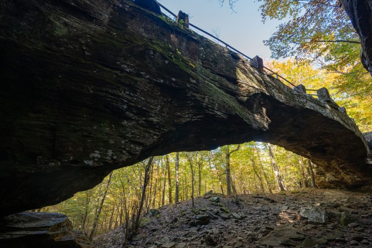 Hiking Alum Cove Trail and Natural Bridge: A Must-See Wonder in the Ozarks