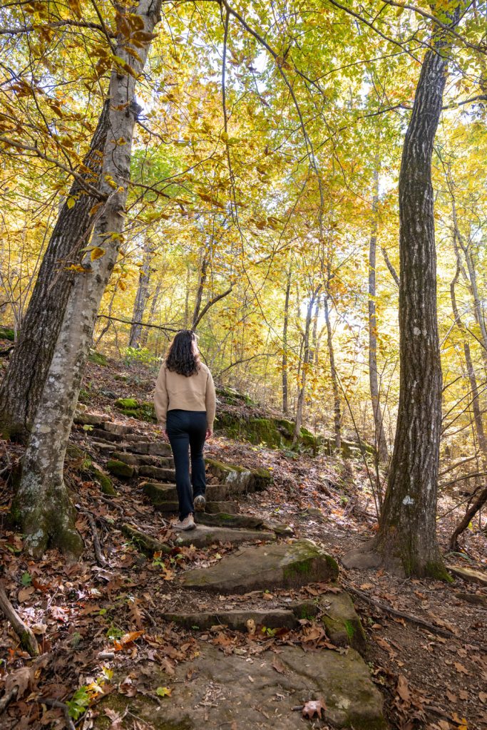 Walking through the woods in the fall on Alum Cove Trail and Natural Bridge.