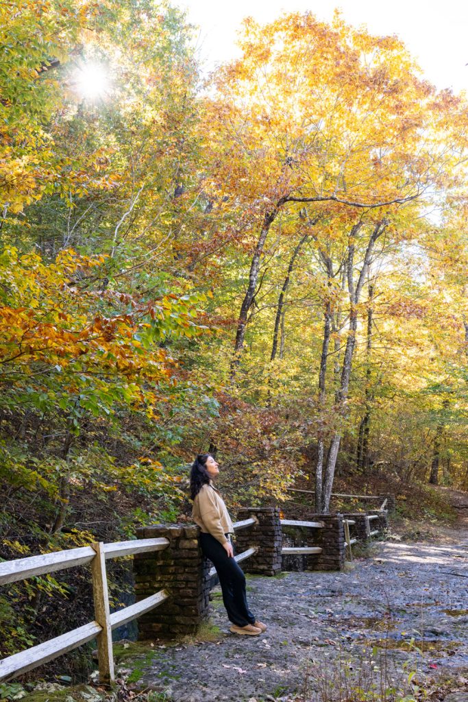 On top of the bridge at the Alum Cove Trail in Arkansas. 