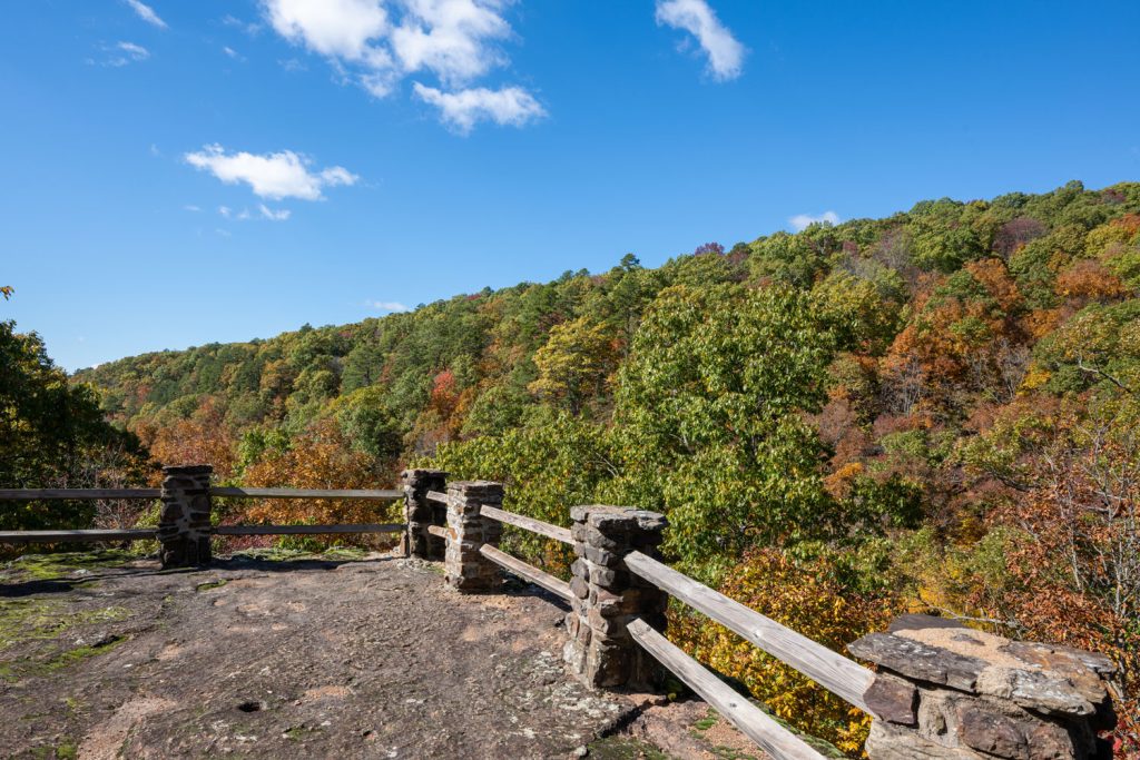 View from Kings Bluff Trail. 