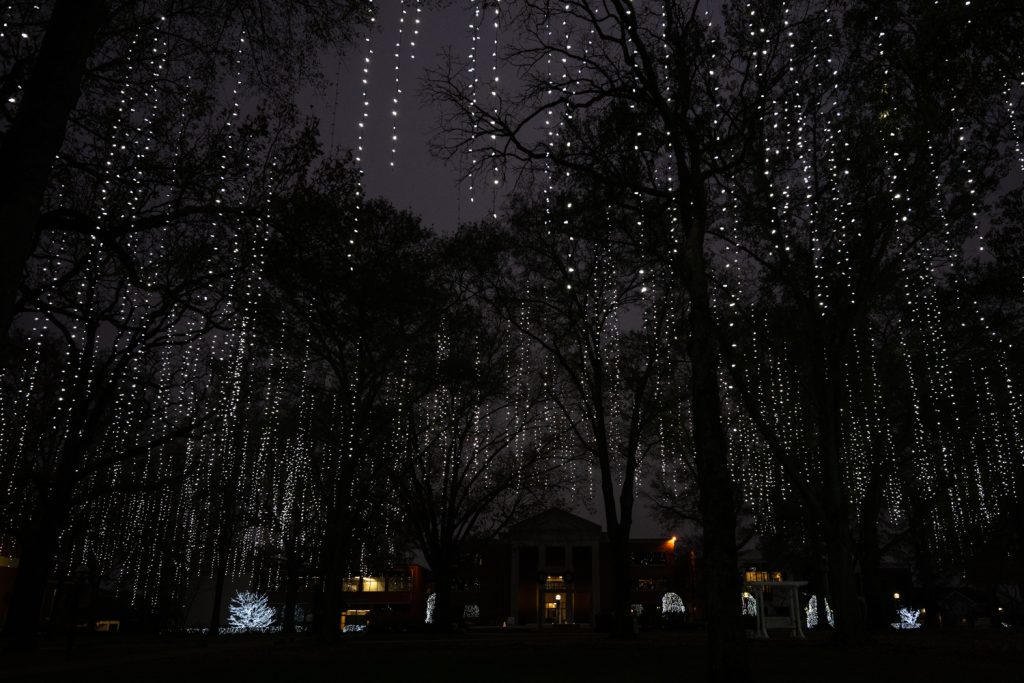 Lights hanging from trees on the Harding University campus in Searcy. One of the best things to do at Christmas in Searcy.