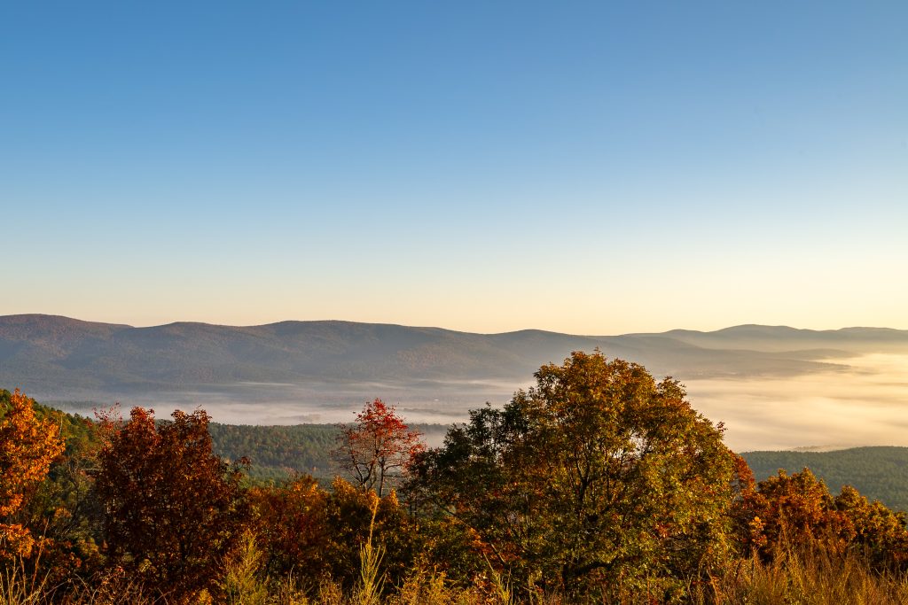 View from the Talimena Scenic Byway. It is sunrise and the fog is thick in the valleys below.