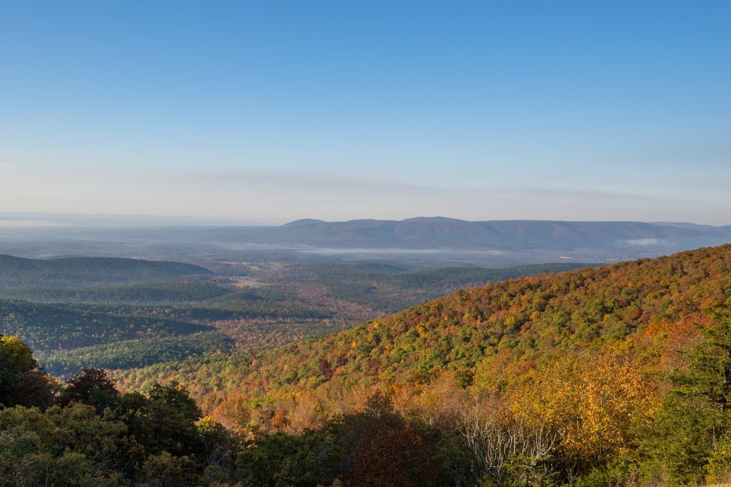 View from the Talimena Scenic route.
