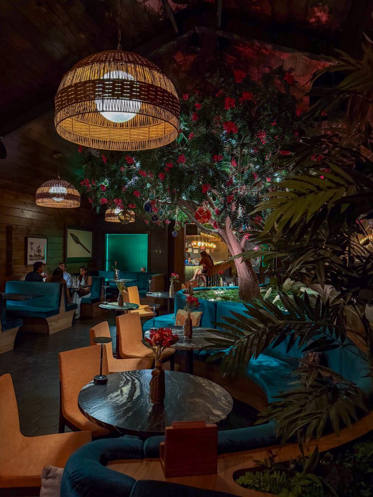Interior of Callisto Bar in Bentonville.
