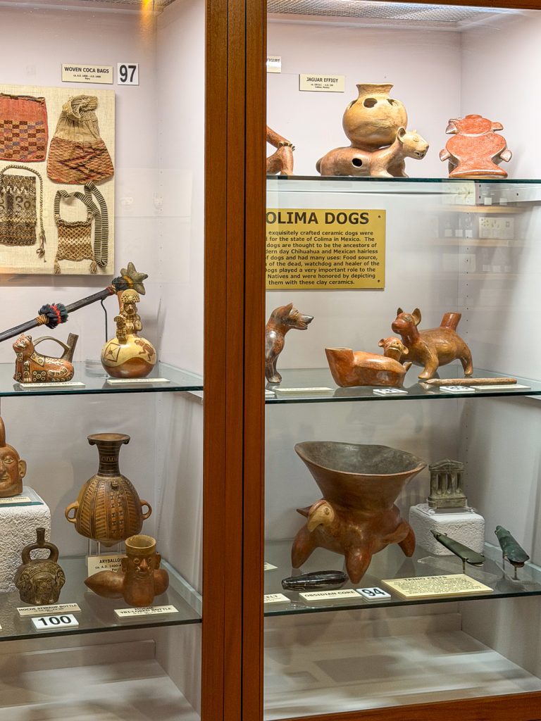 Various native pottery in a museum.